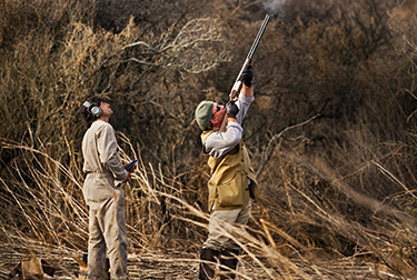 Argentina Dove Hunting - Shooter Aiming High