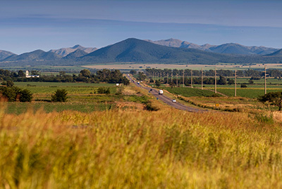 Argentina Dove Hunting - Drive to Field