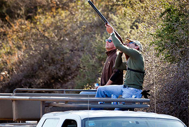 Los Chanares Lodge - Argentina Dove Hunting
