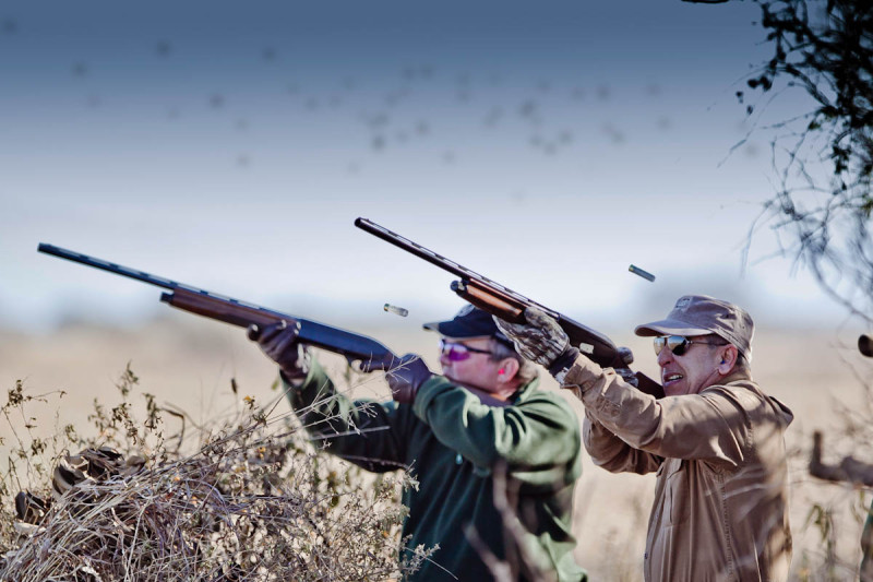 Argentina-Dove-Hunting---2-Shooters