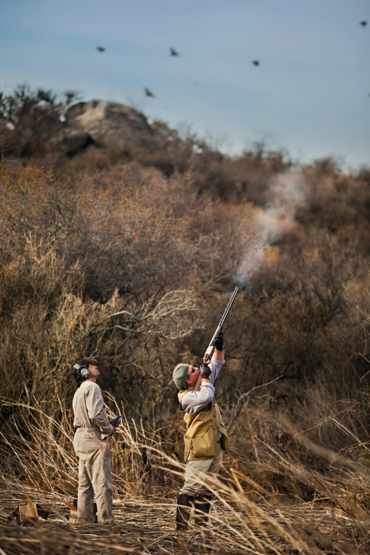 Argentina Dove Hunting - Shooter Aiming High