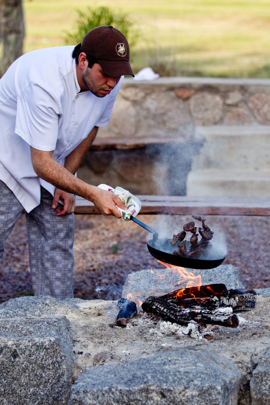 Dove Recipe on The Grill